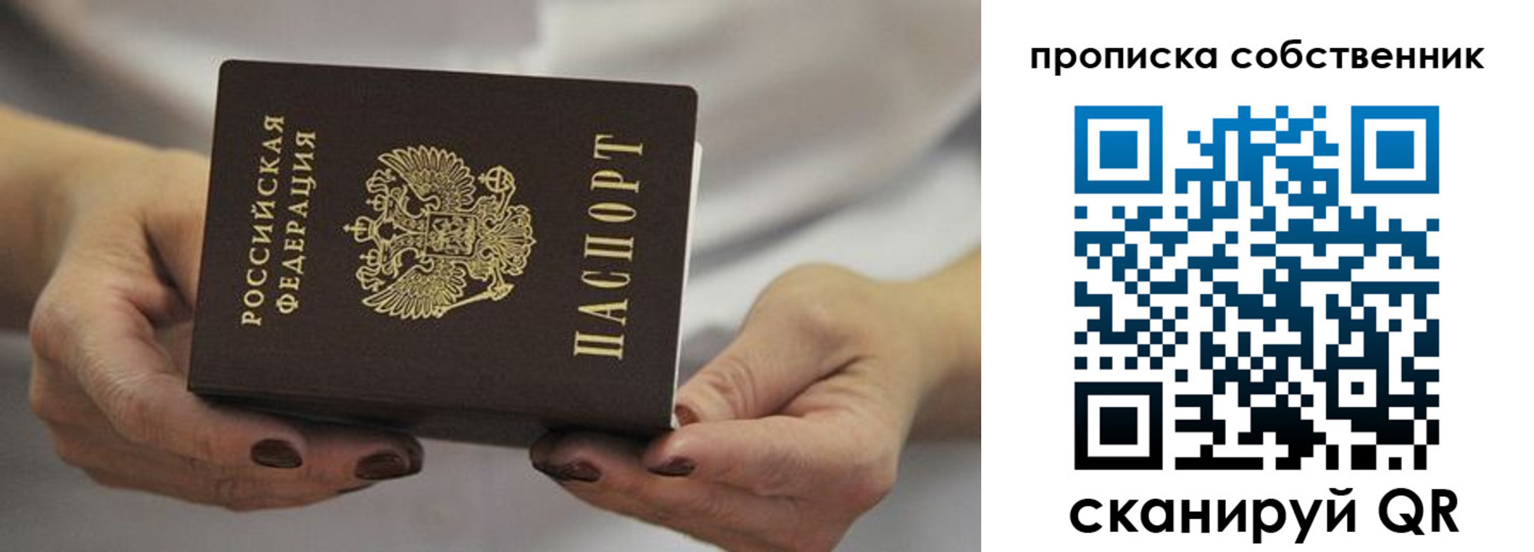 прописка поиск в Черноголовке